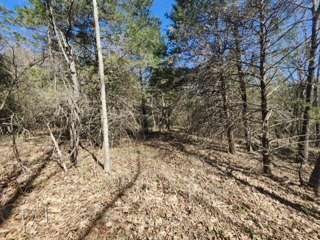 9088 13th Road Property Photo 25