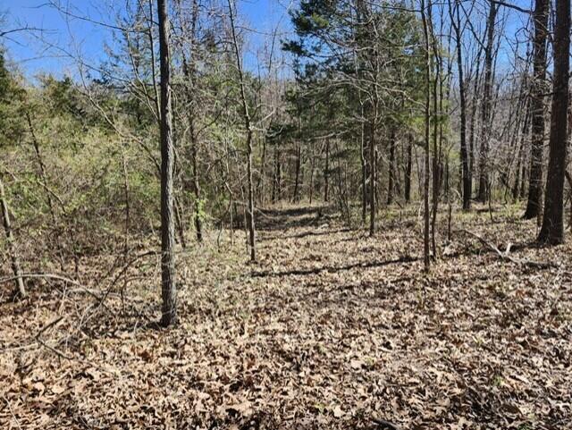 9088 13th Road Property Photo 28