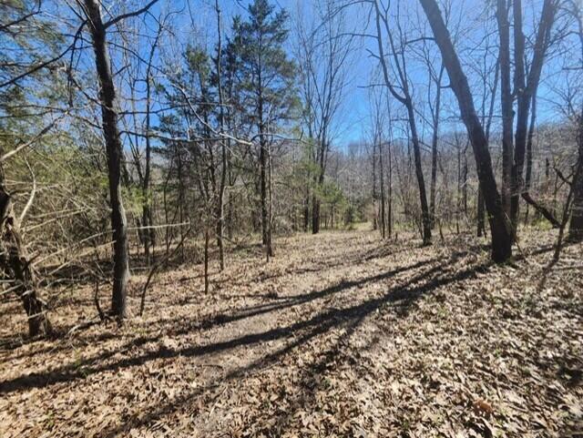 9088 13th Road Property Photo 34