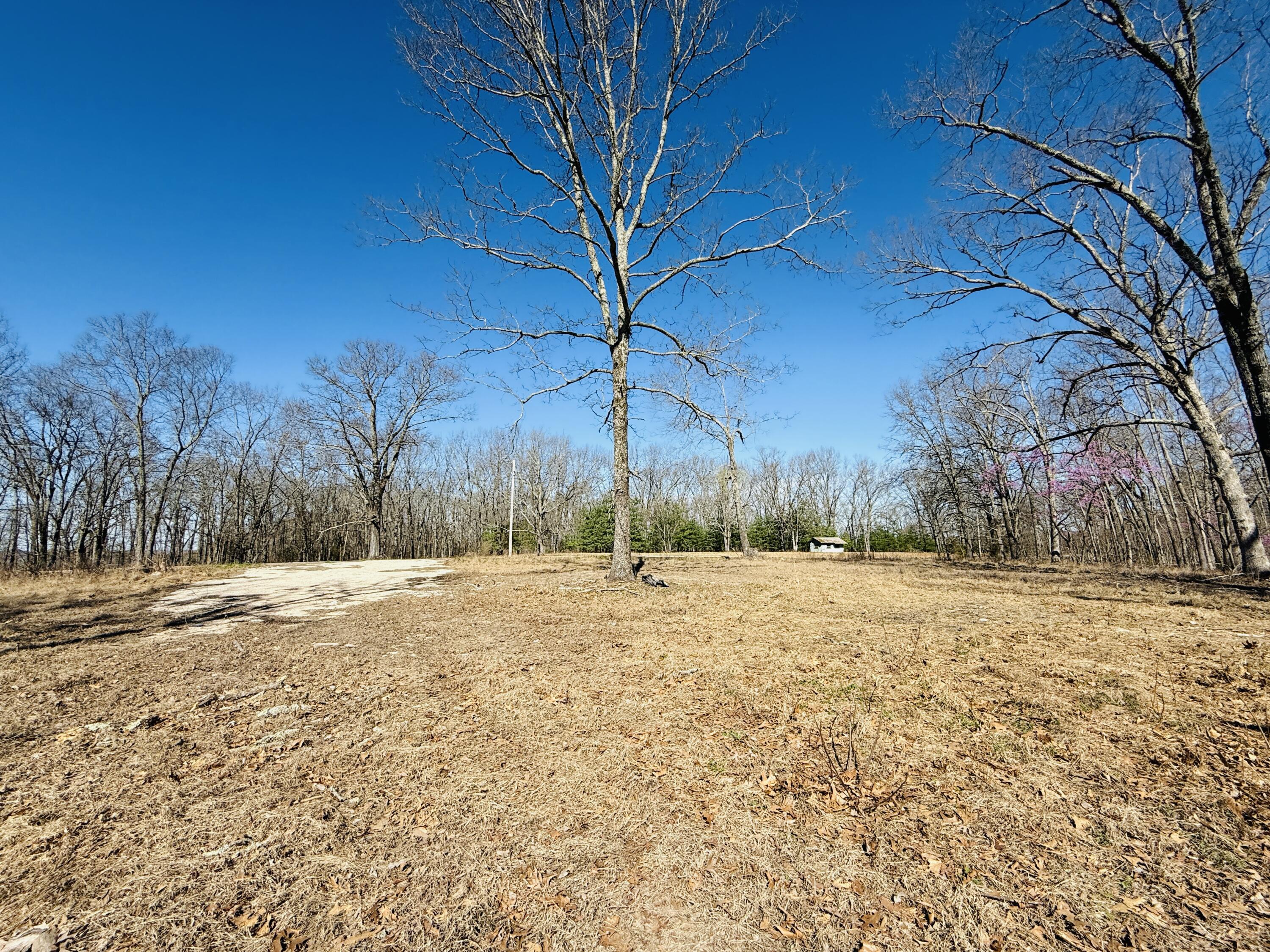 Rr 72 Box 356 Property Photo 7