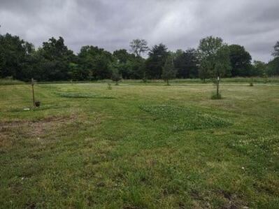 10+/- Acres State Highway 90 Property Photo 7