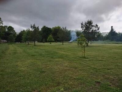 10+/- Acres State Highway 90 Property Photo 13