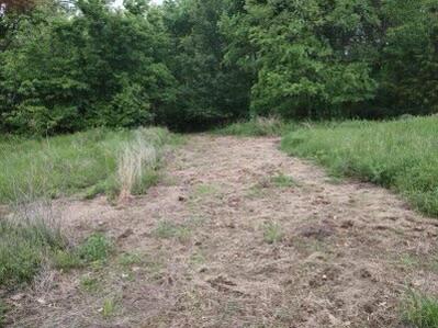 10+/- Acres State Highway 90 Property Photo 14