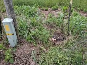 10+/- Acres State Highway 90 Property Photo 17