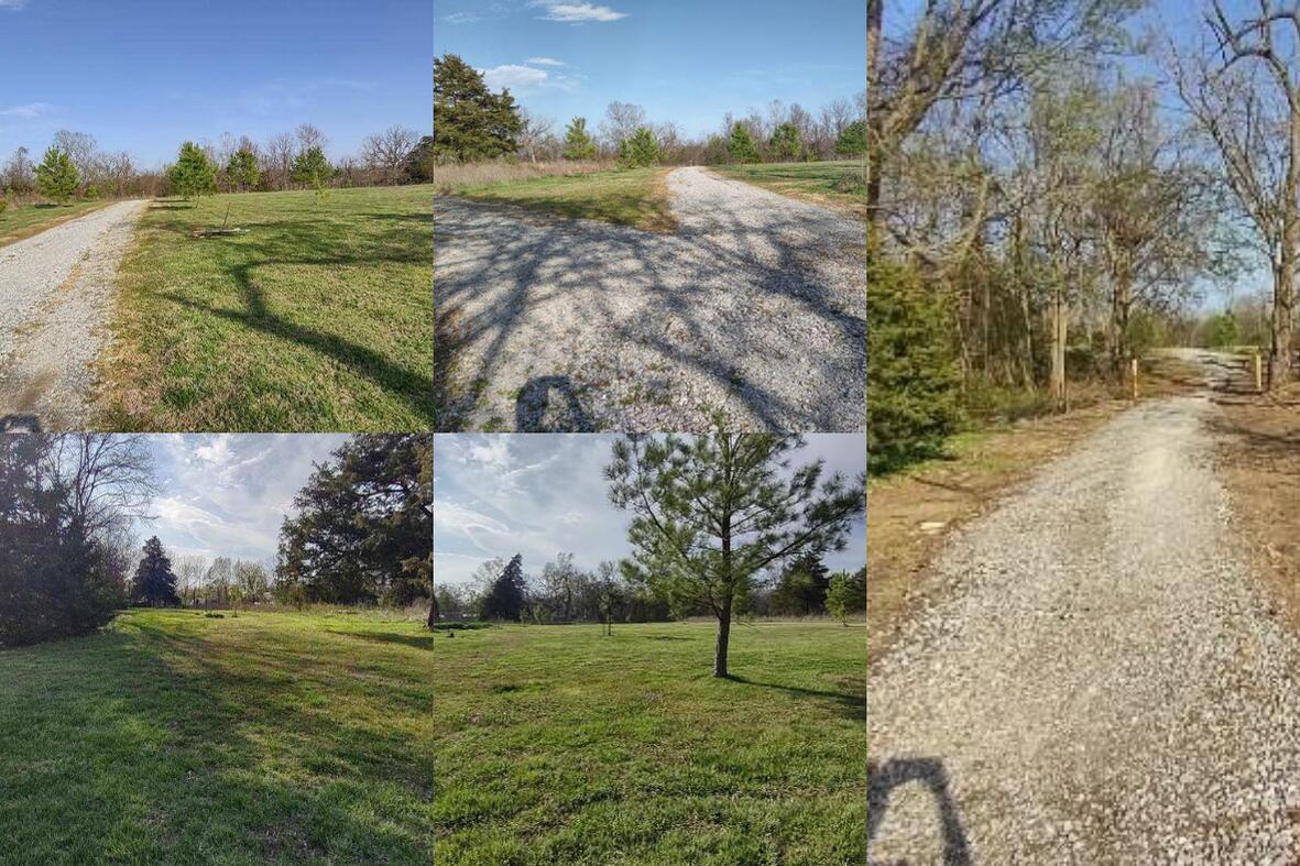 10+/- Acres State Highway 90 Property Photo 18