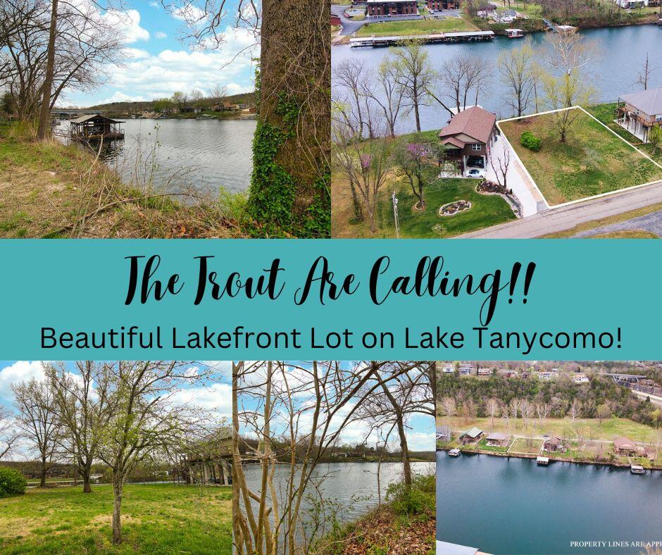 Taney County Real Estate Listings Main Image