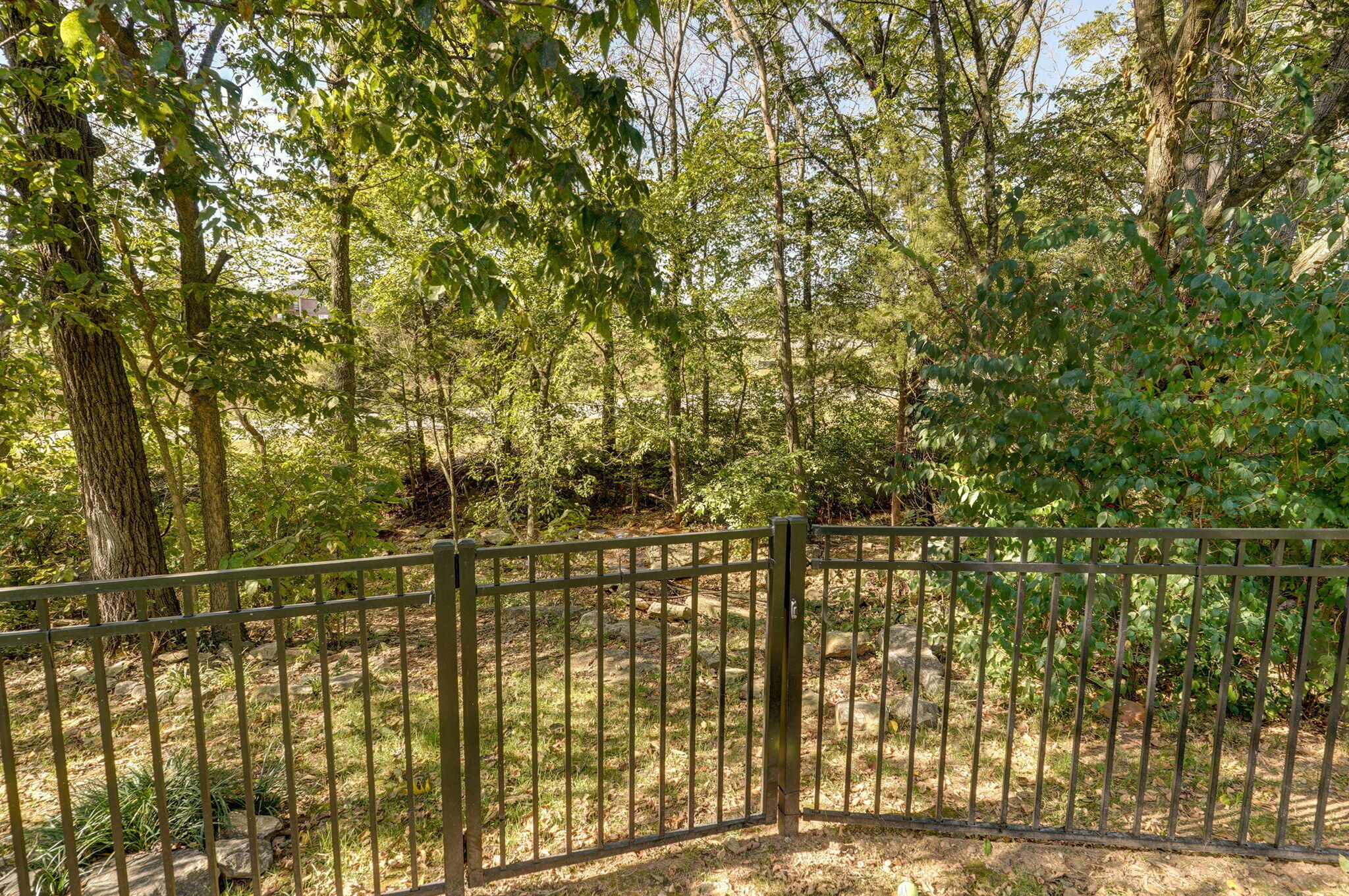 738 Rippling Creek Road Property Photo 54