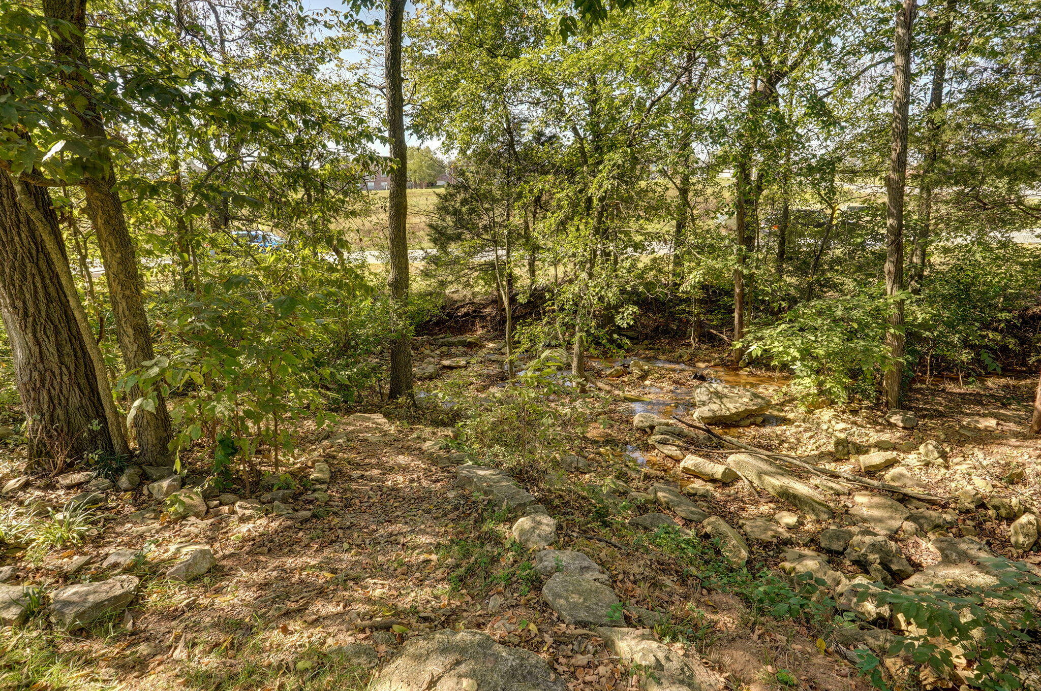 738 Rippling Creek Road Property Photo 57
