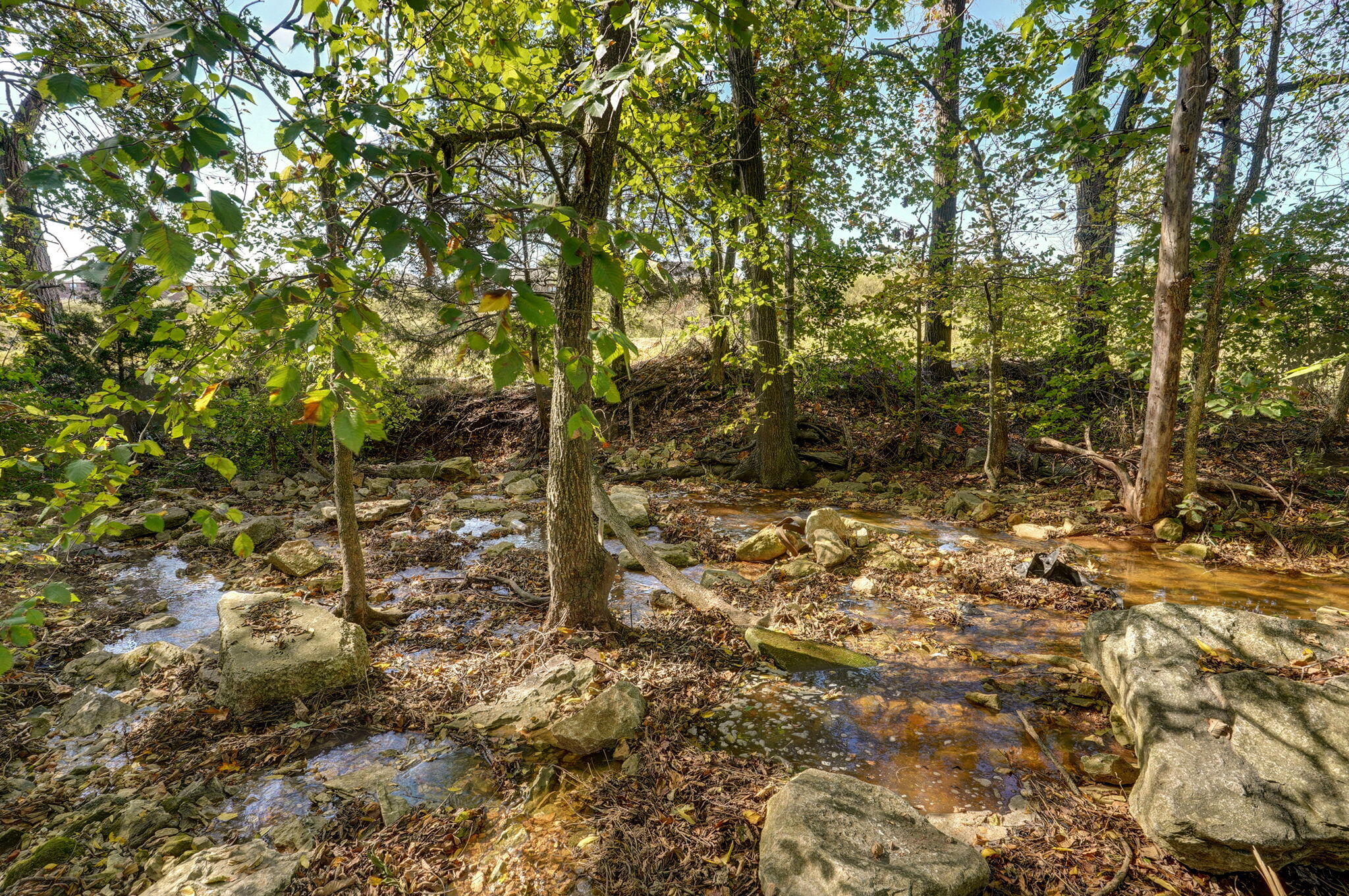738 Rippling Creek Road Property Photo 58
