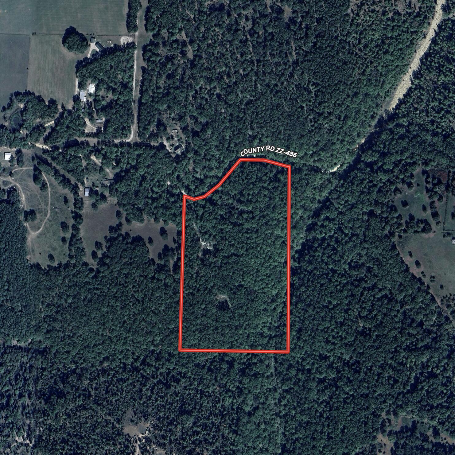 Tbd County Road 486 Property Photo 2