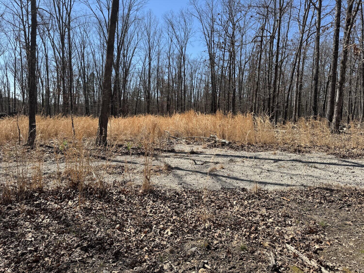 Tbd County Road 486 Property Photo 6