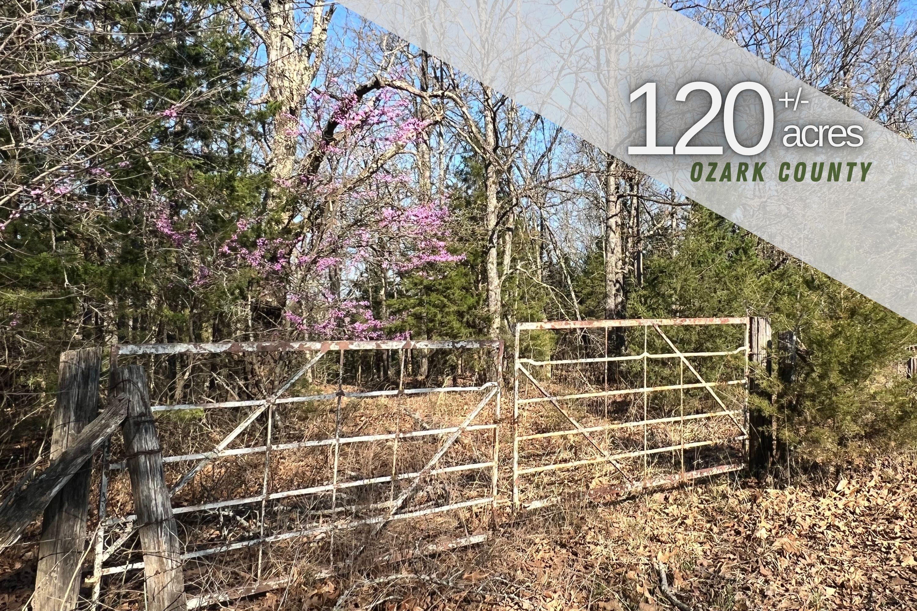 120 Ac County Road 547 Property Photo