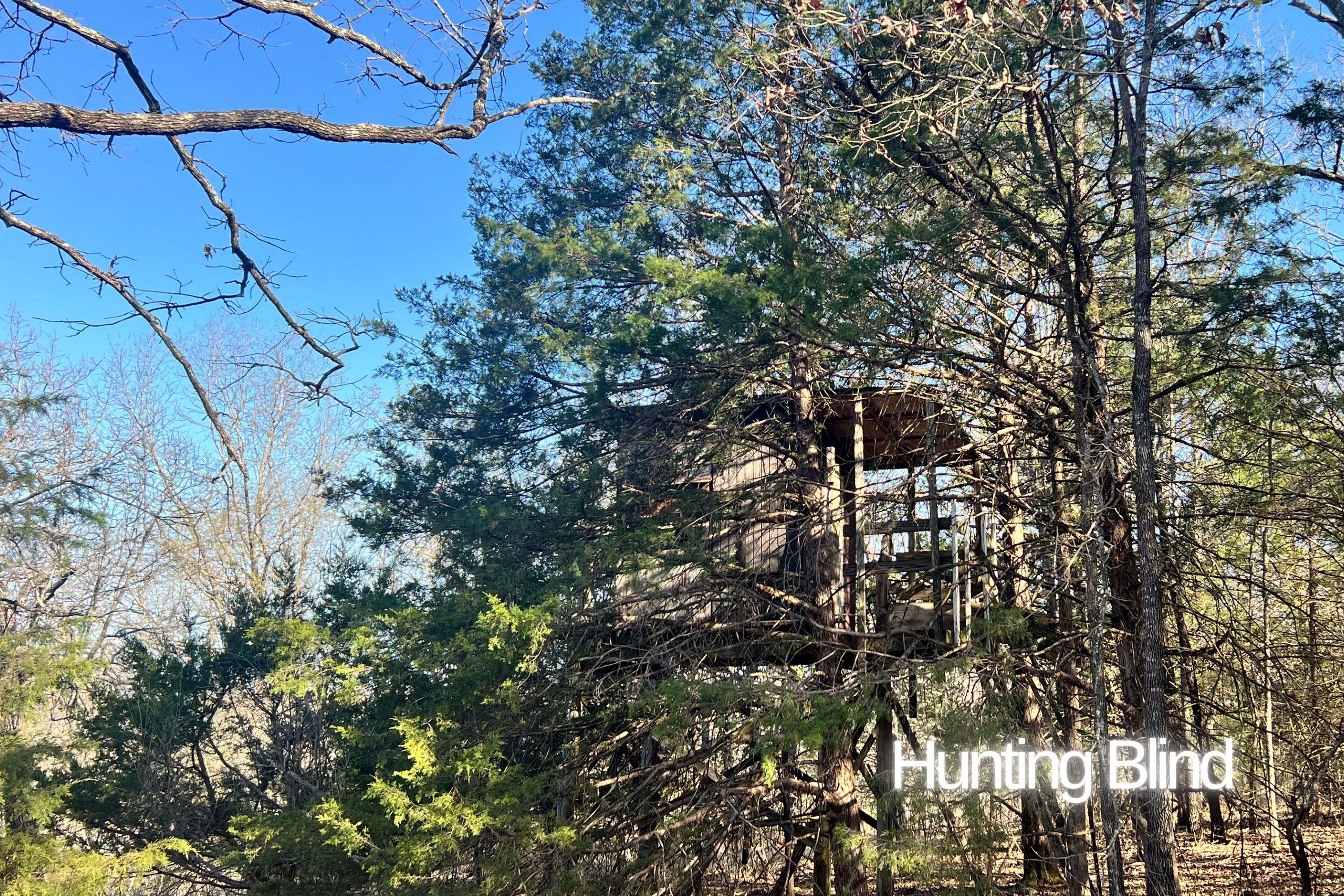 120 Ac County Road 547 Property Photo 5