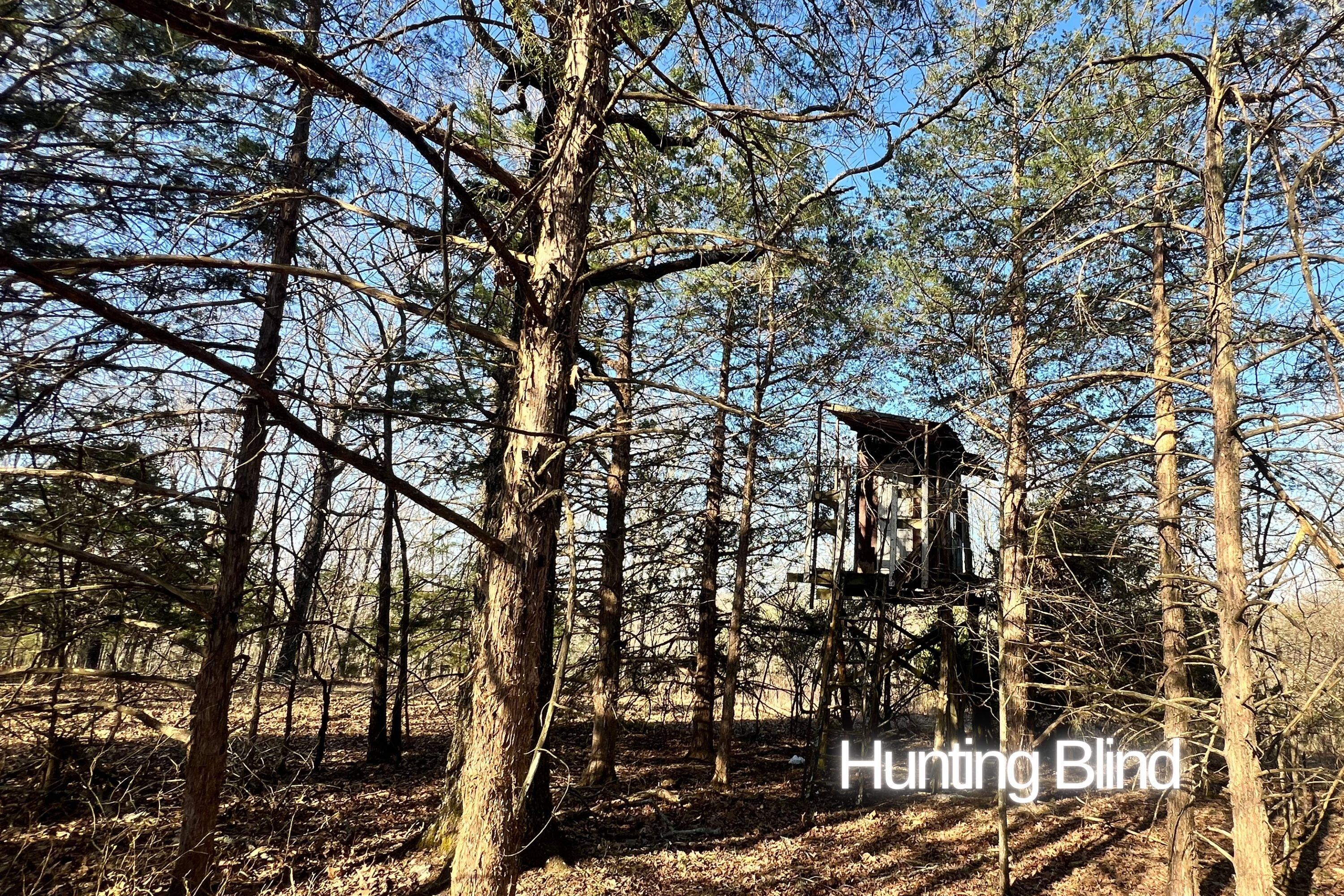 120 Ac County Road 547 Property Photo 6