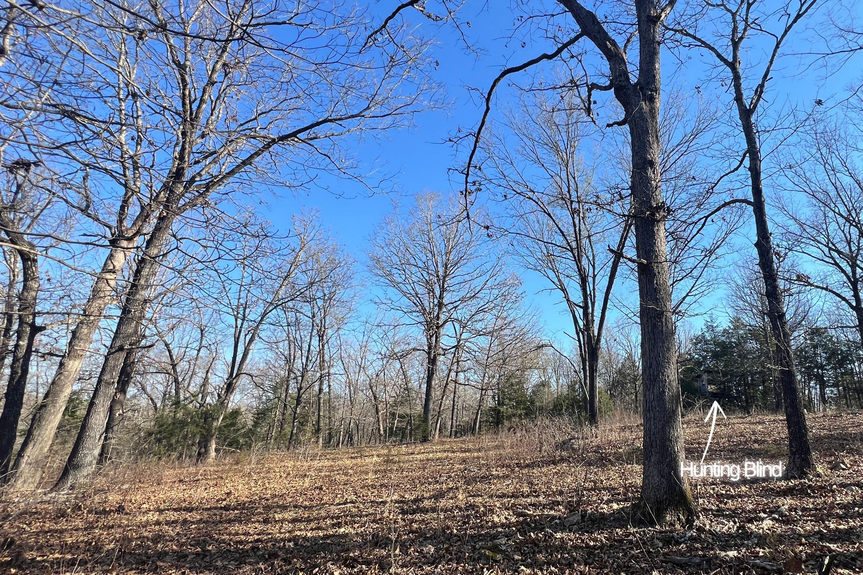 120 Ac County Road 547 Property Photo 7