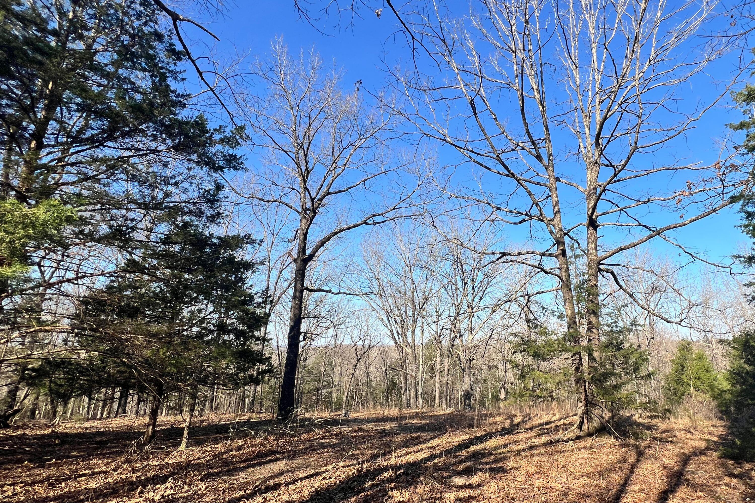 120 Ac County Road 547 Property Photo 8