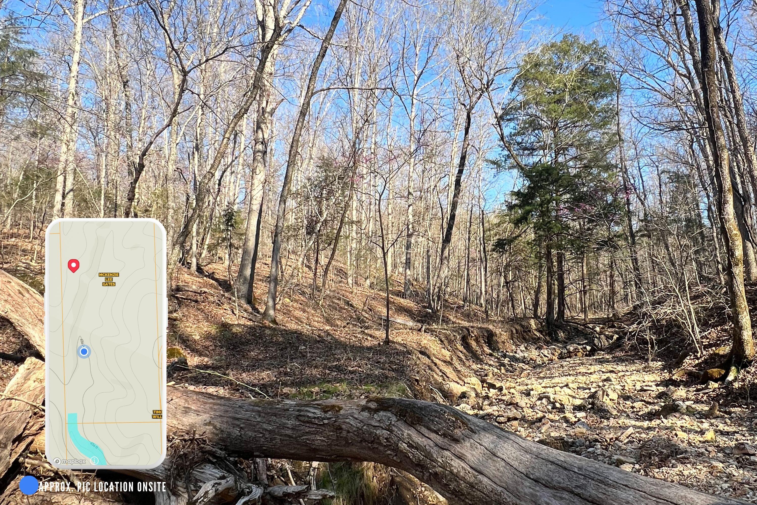 120 Ac County Road 547 Property Photo 10
