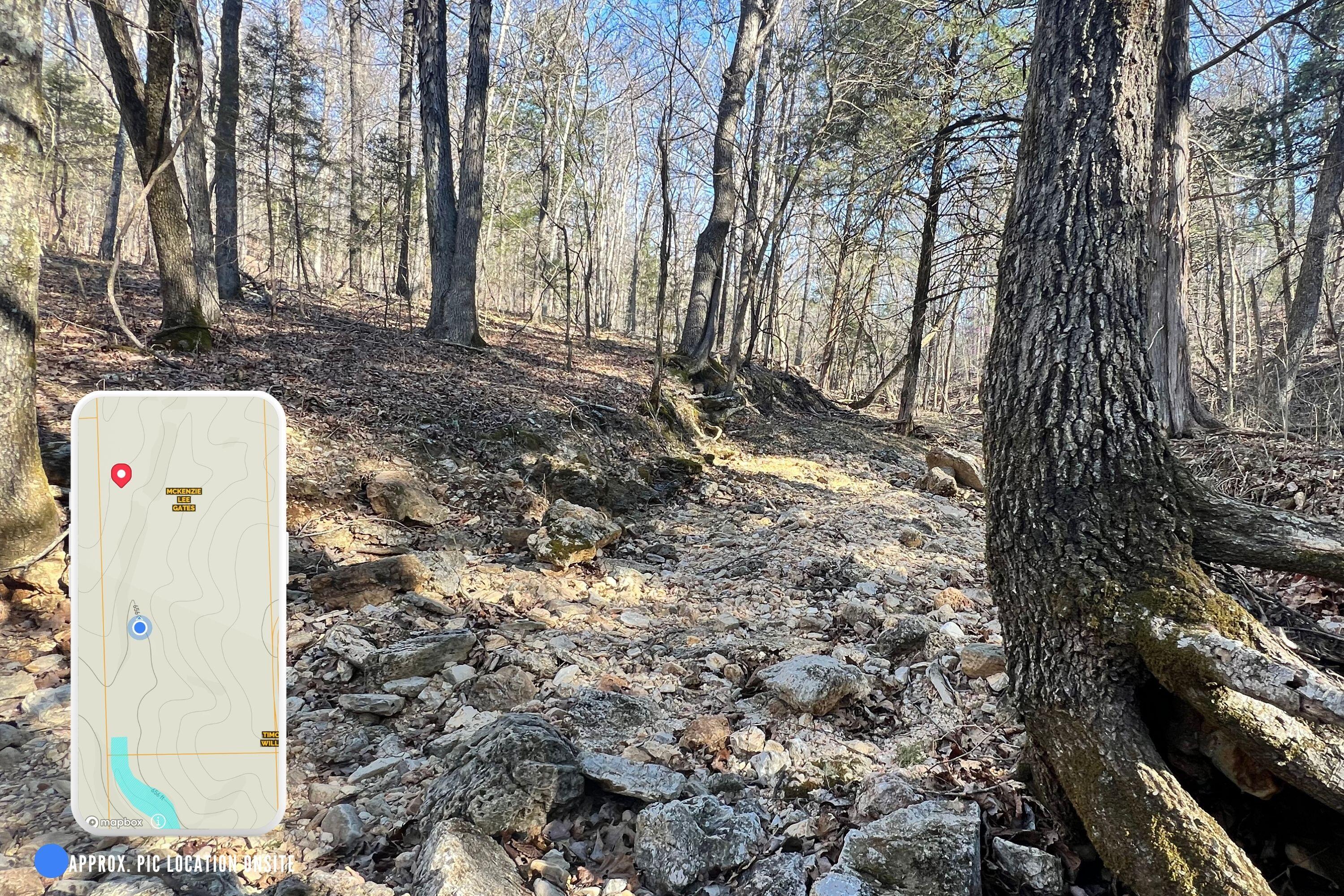120 Ac County Road 547 Property Photo 11