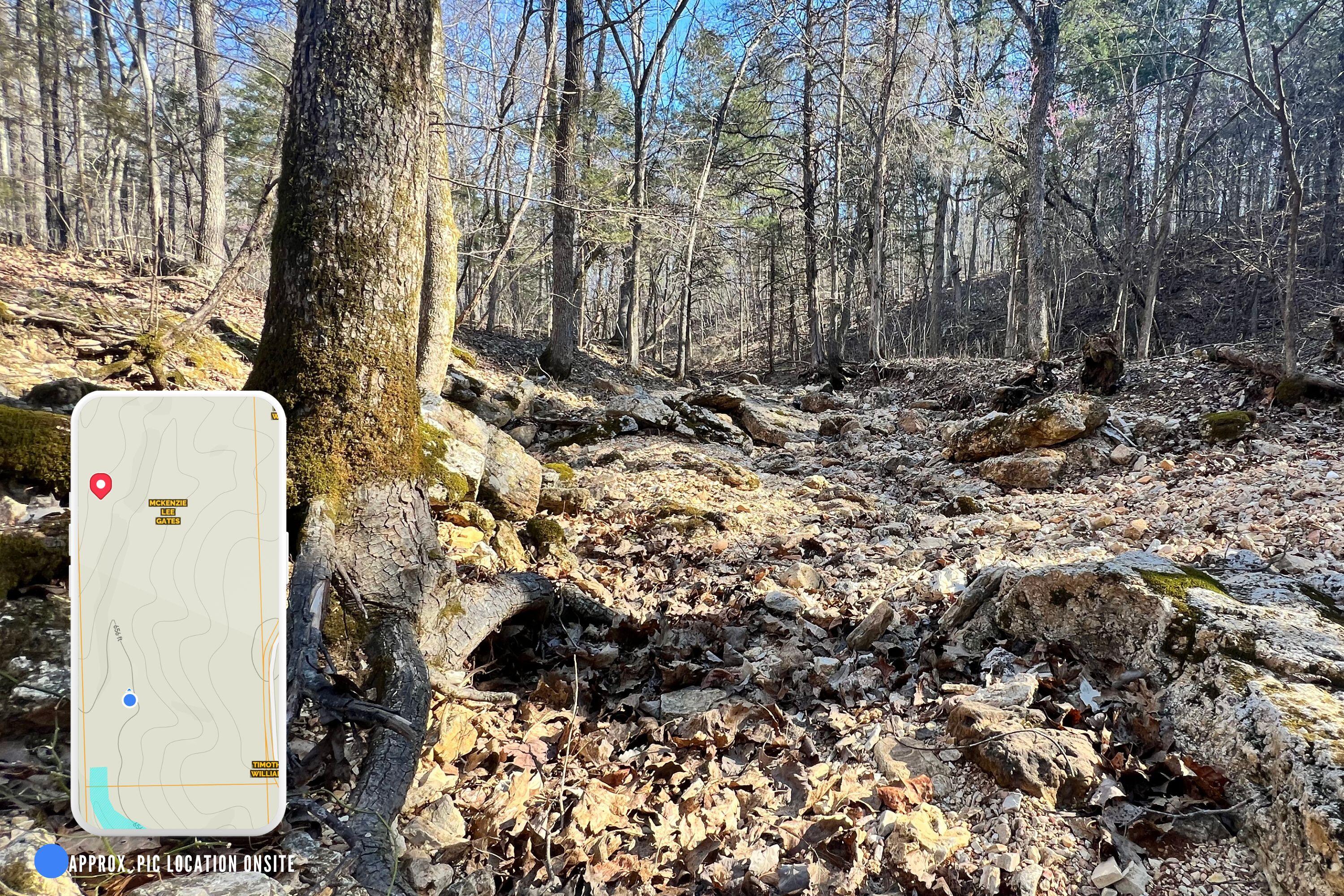 120 Ac County Road 547 Property Photo 14