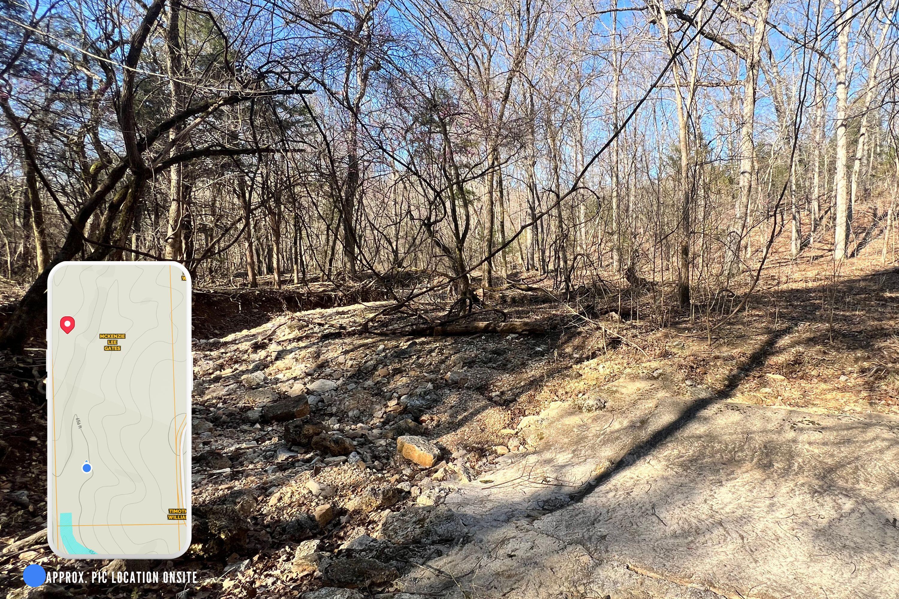 120 Ac County Road 547 Property Photo 15