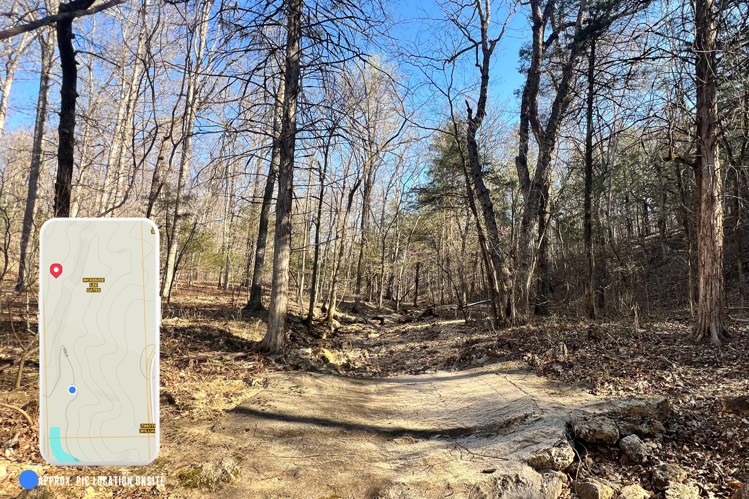 120 Ac County Road 547 Property Photo 17