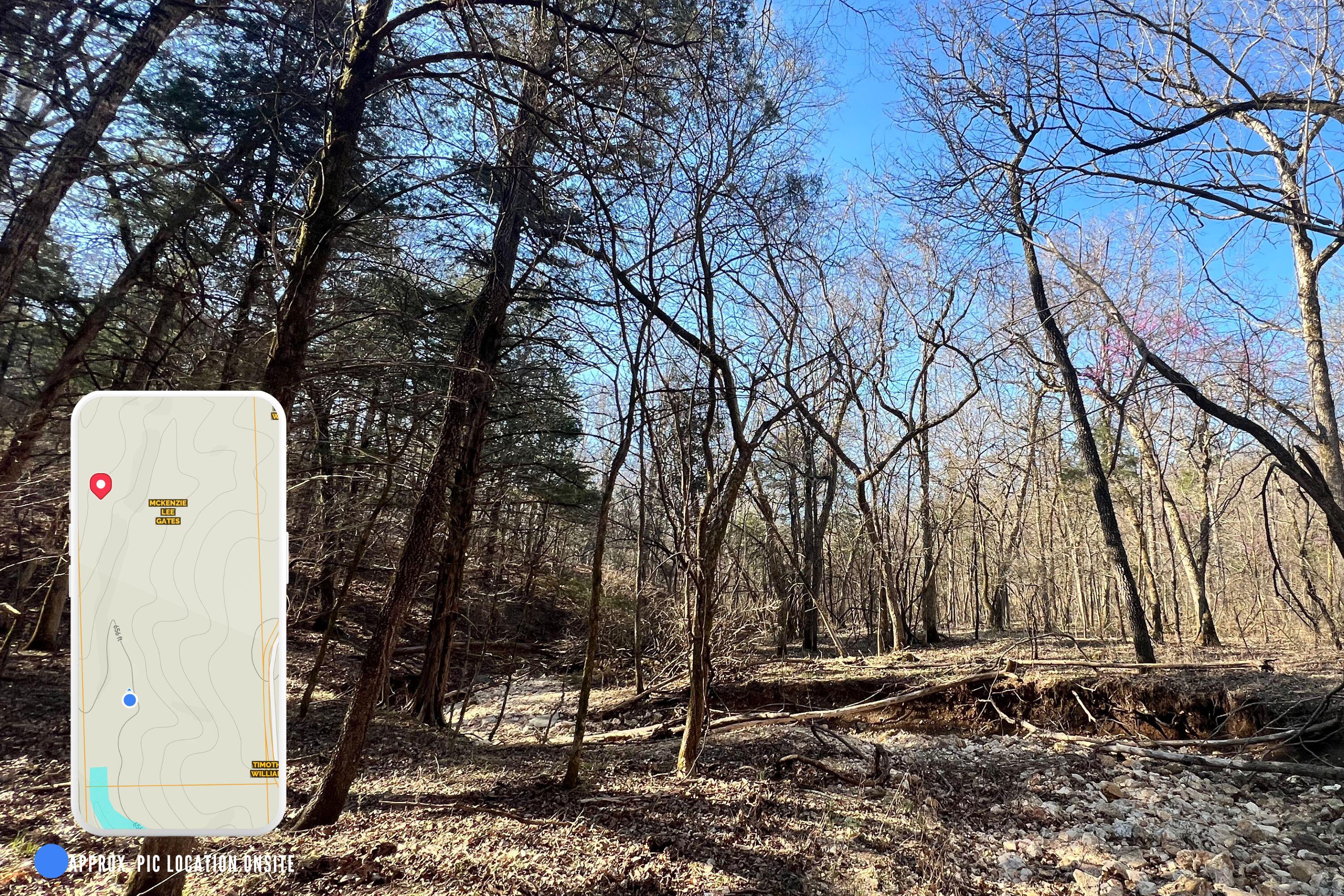 120 Ac County Road 547 Property Photo 18