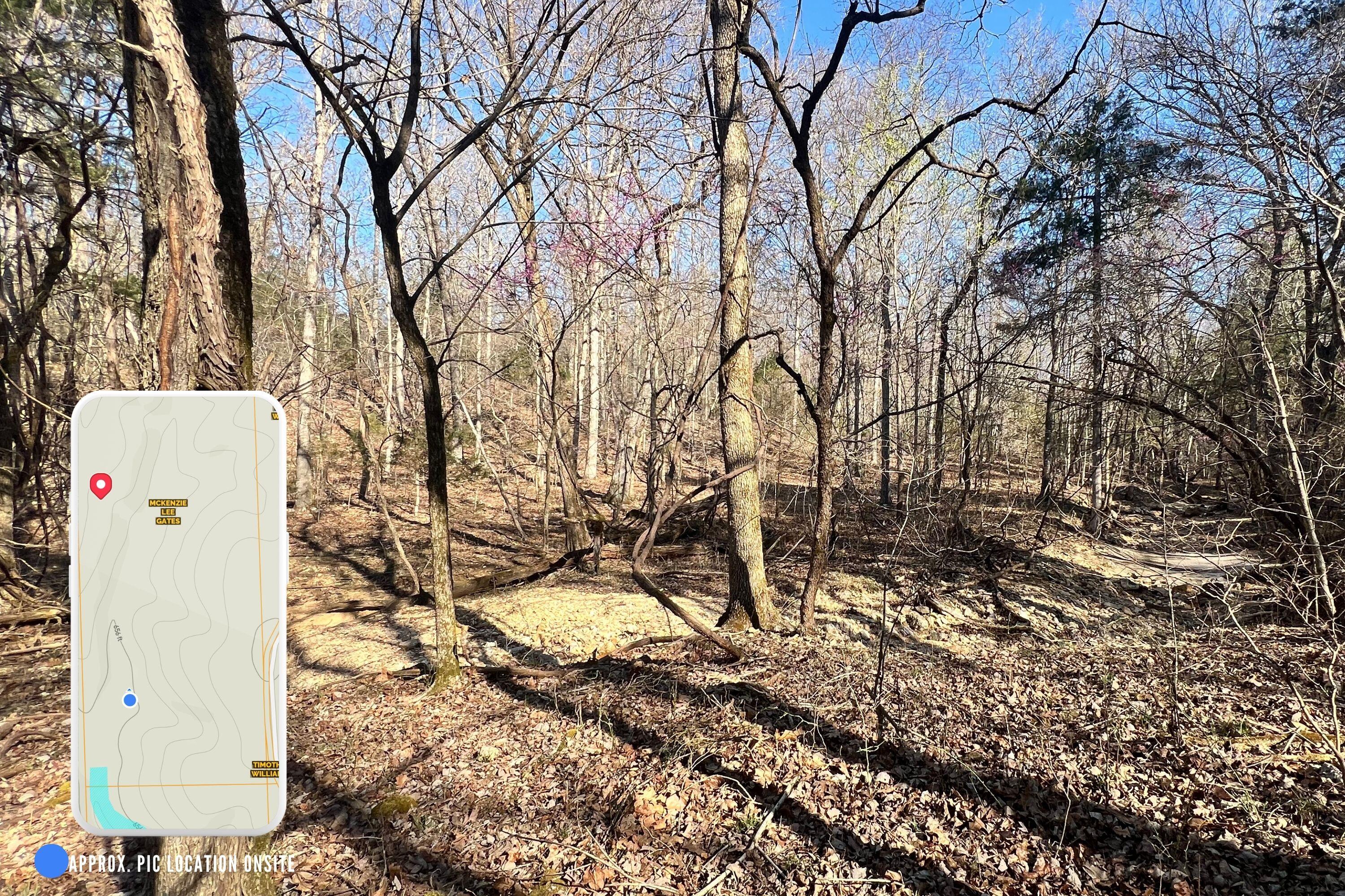 120 Ac County Road 547 Property Photo 19