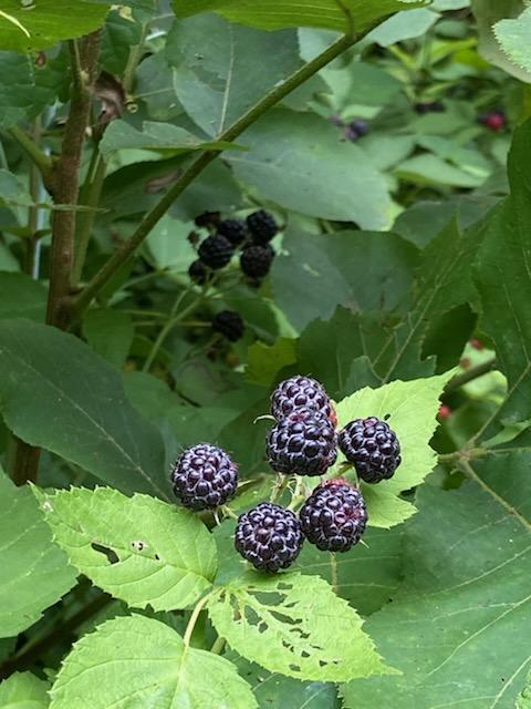 00 County Road 150 Property Photo 1