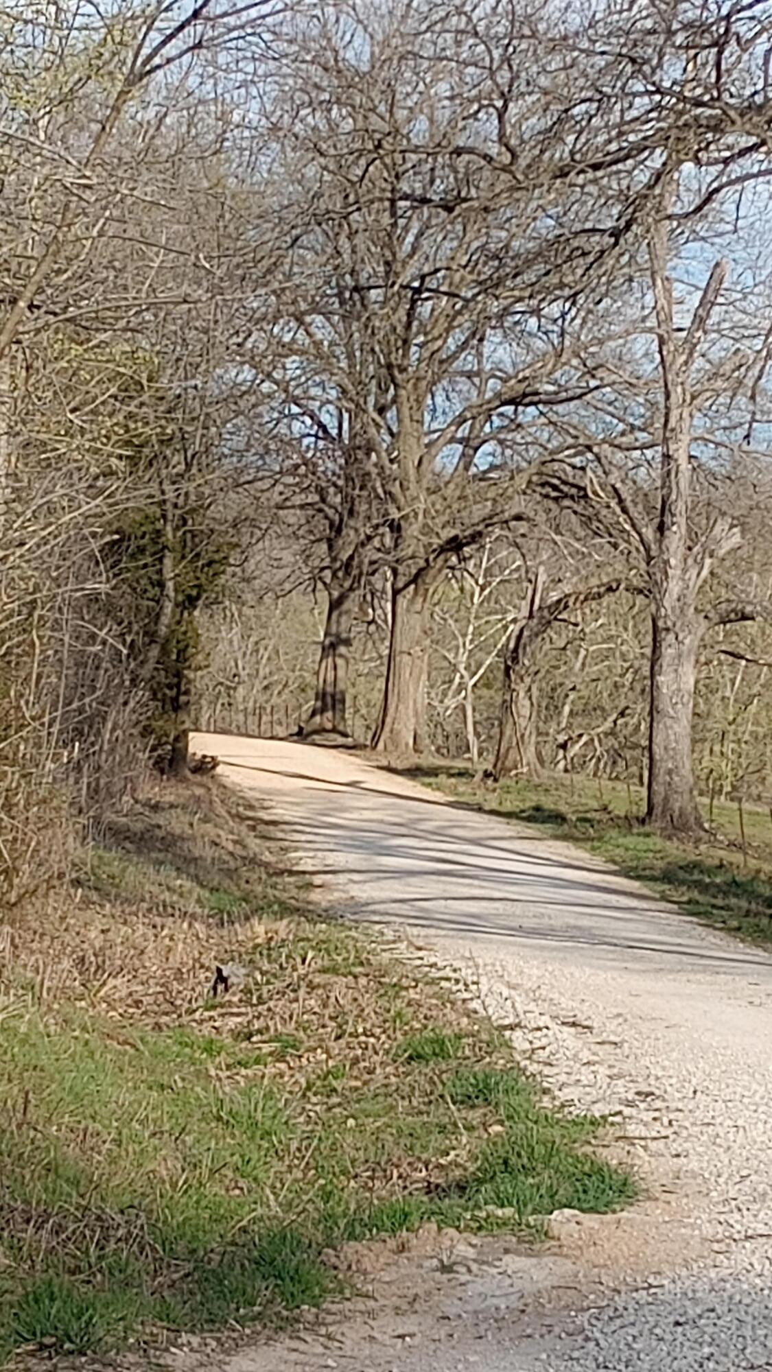 00 County Road 150 Property Photo 4