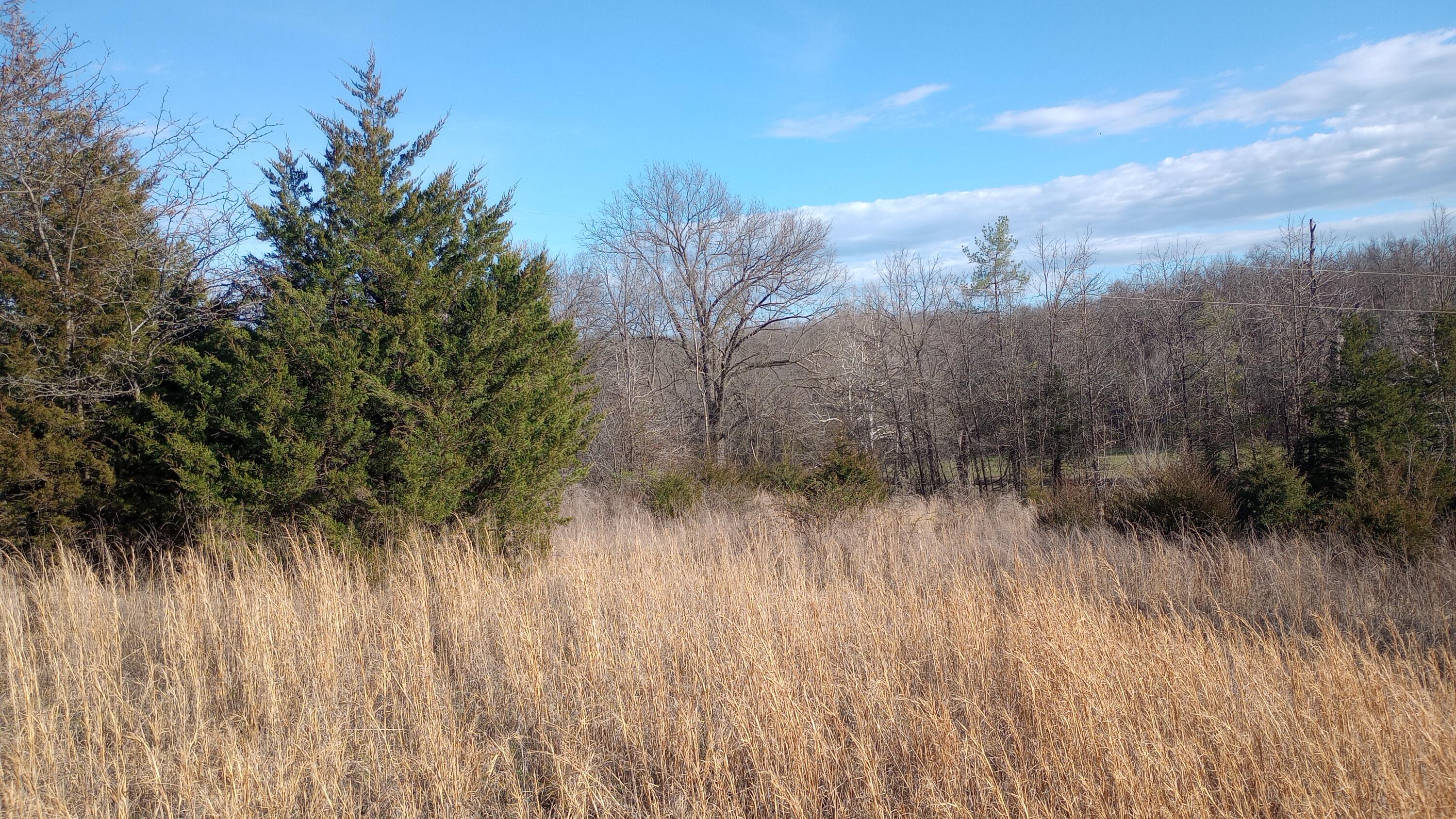 00 County Road 150 Property Photo 8