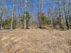 000 September Falls Drive Property Photo 4