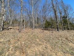 000 September Falls Drive Property Photo 5
