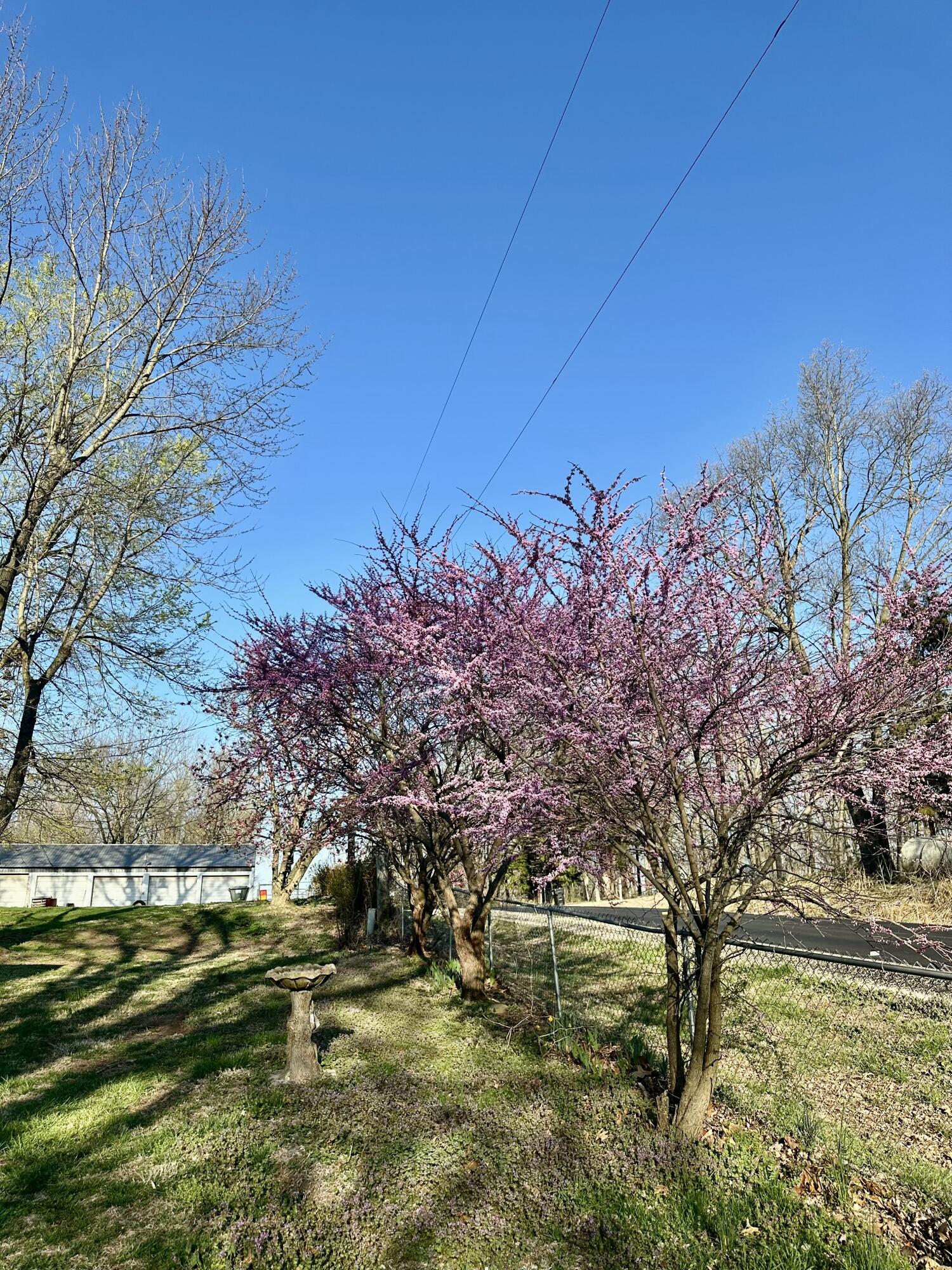20119 Highway Z Property Photo 8