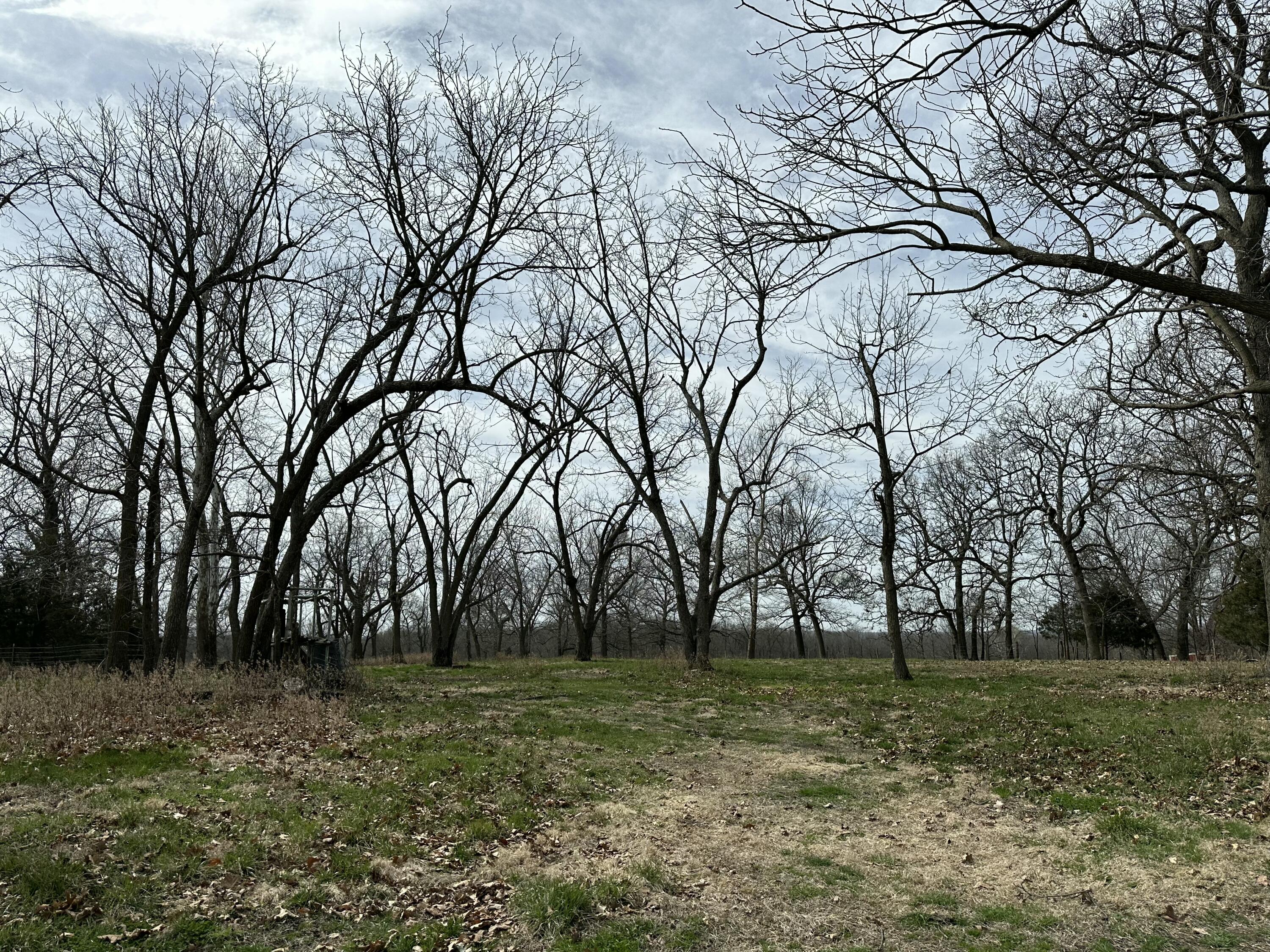 20119 Highway Z Property Photo 26