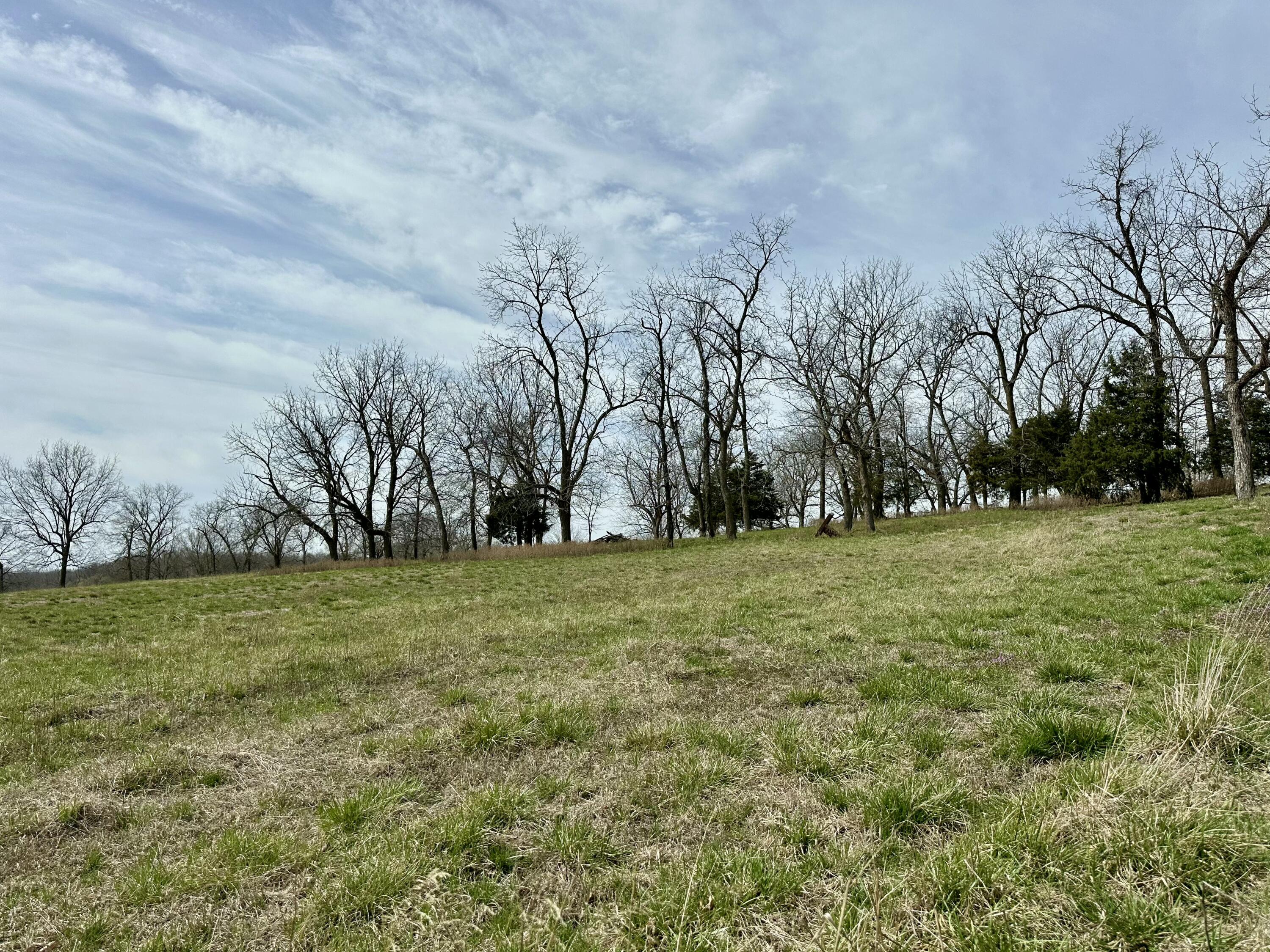 20119 Highway Z Property Photo 28