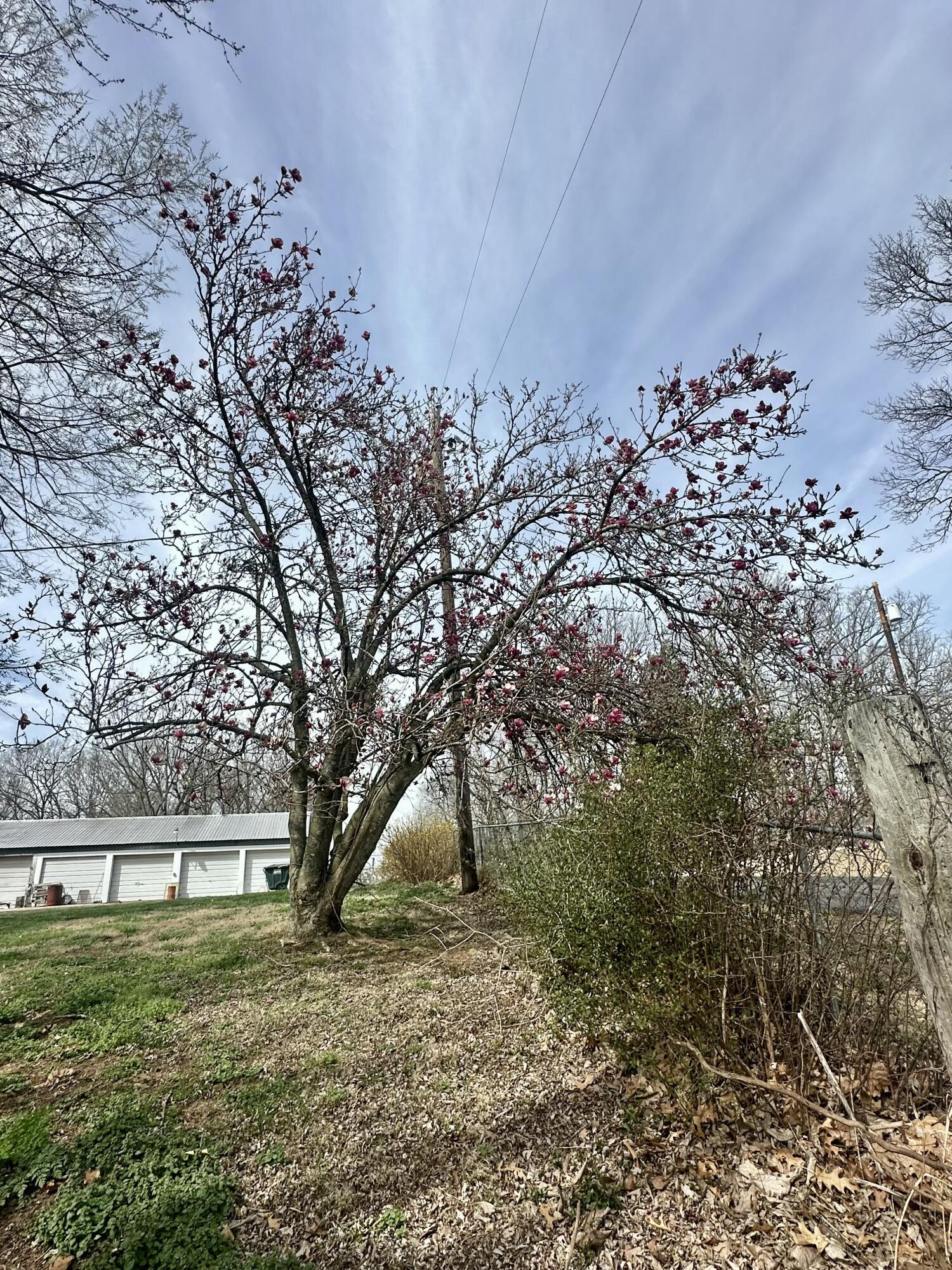20119 Highway Z Property Photo 31