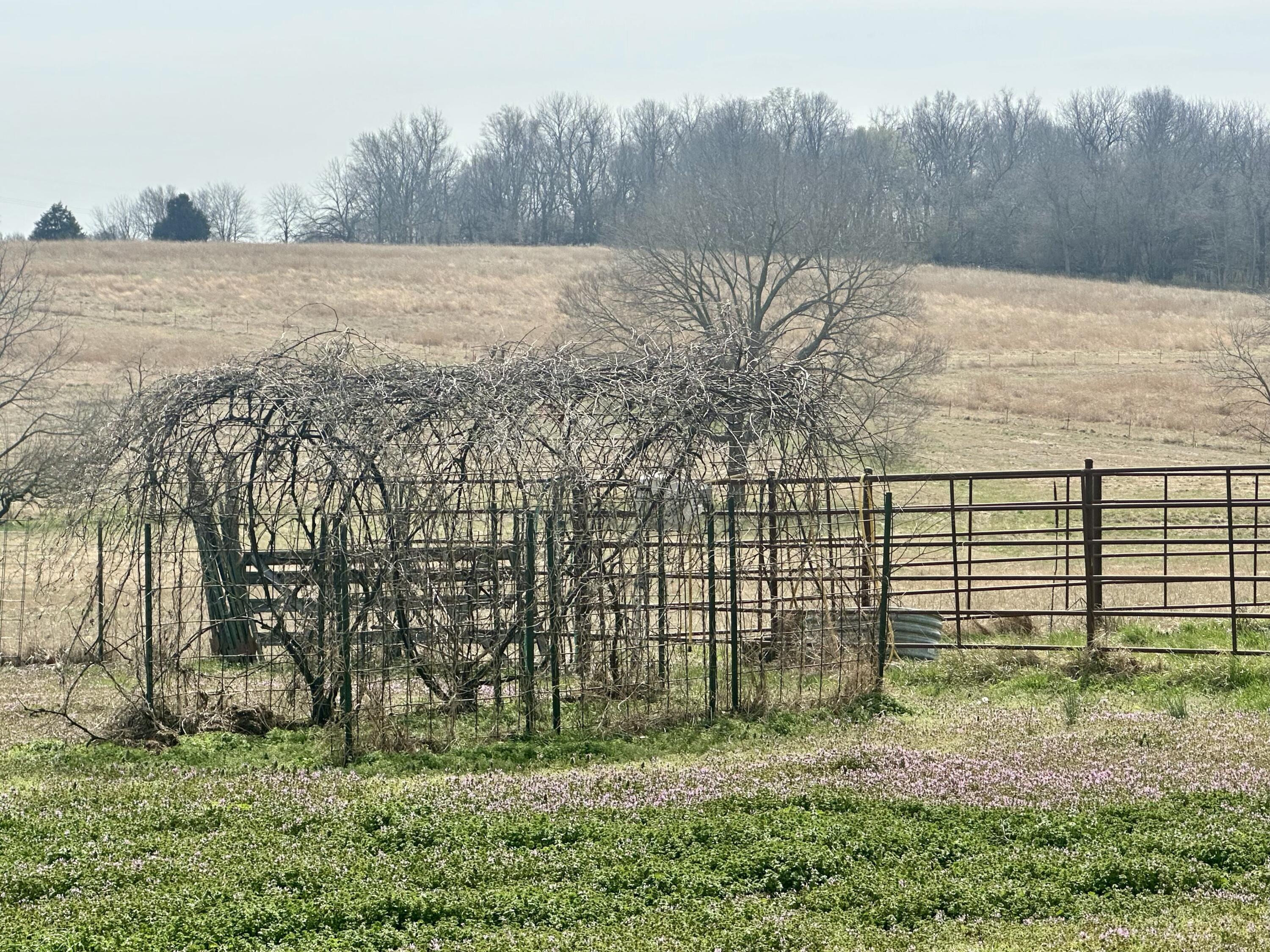 20119 Highway Z Property Photo 32