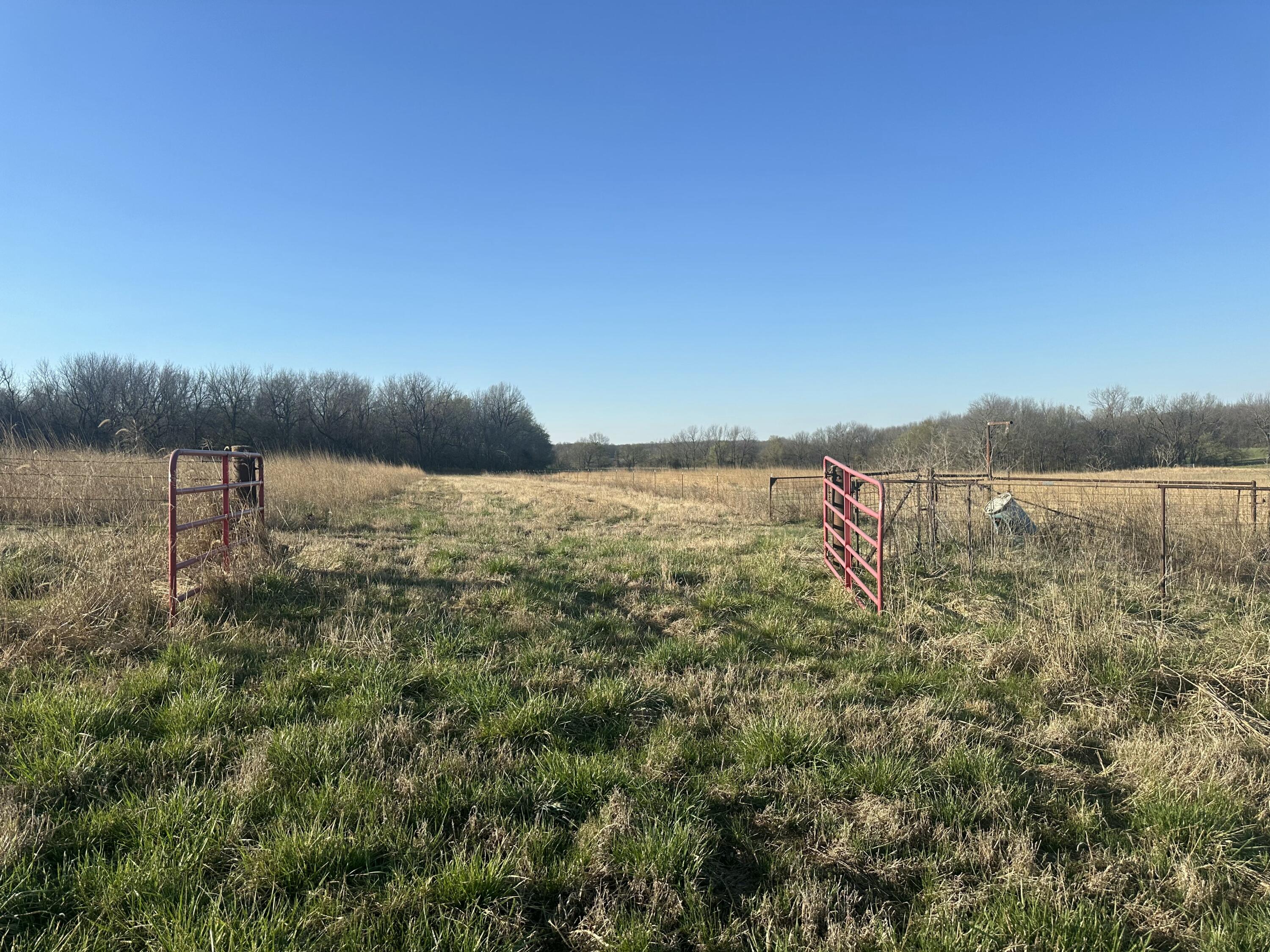 20119 Highway Z Property Photo 41