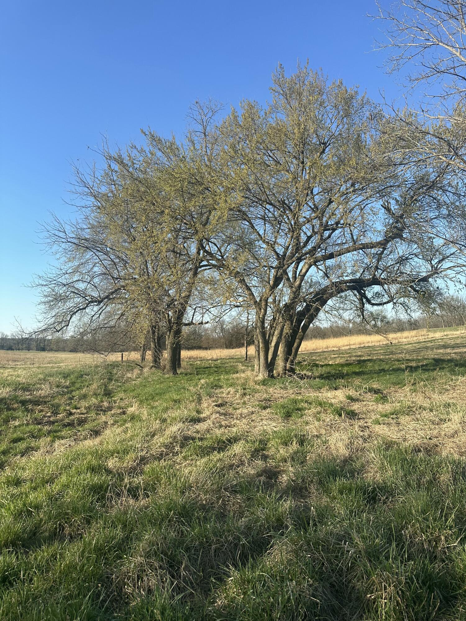 20119 Highway Z Property Photo 44