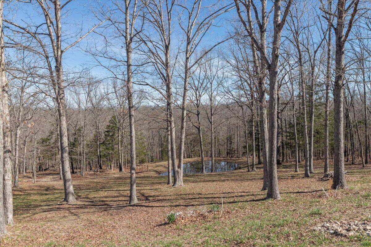 137 Schieler Lane Property Photo 30