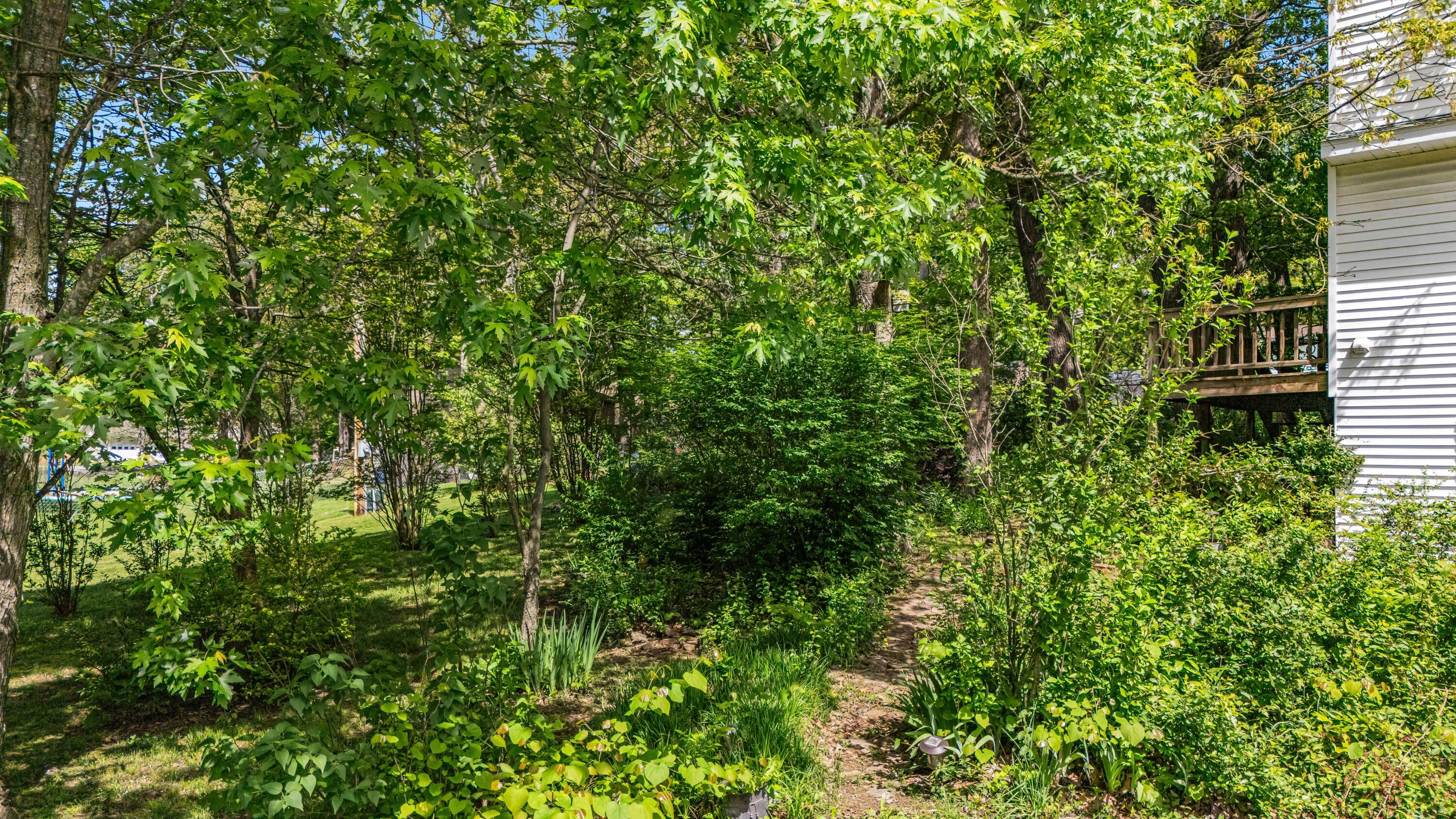 2505 Courtney Place Property Photo 36