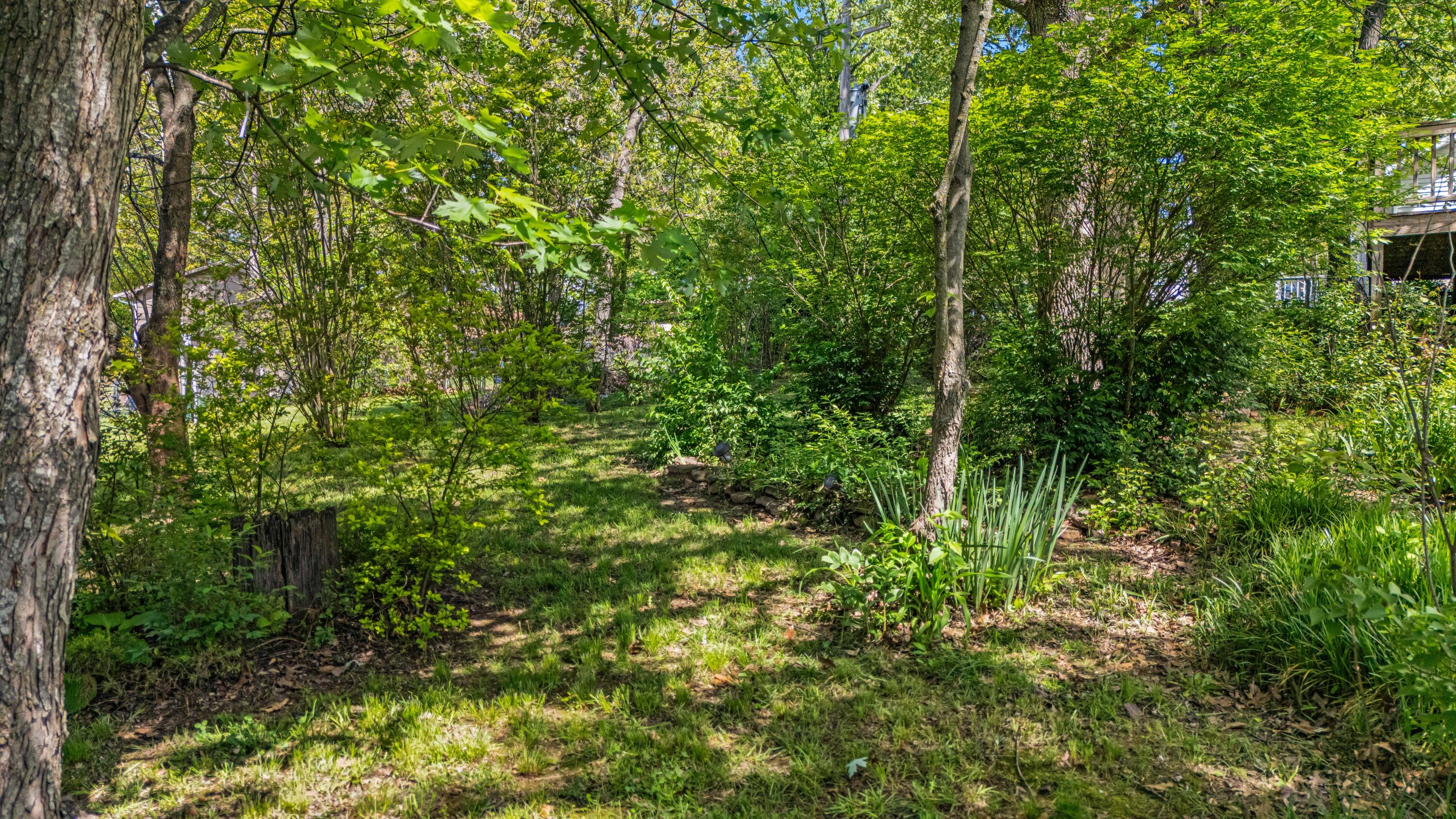 2505 Courtney Place Property Photo 37