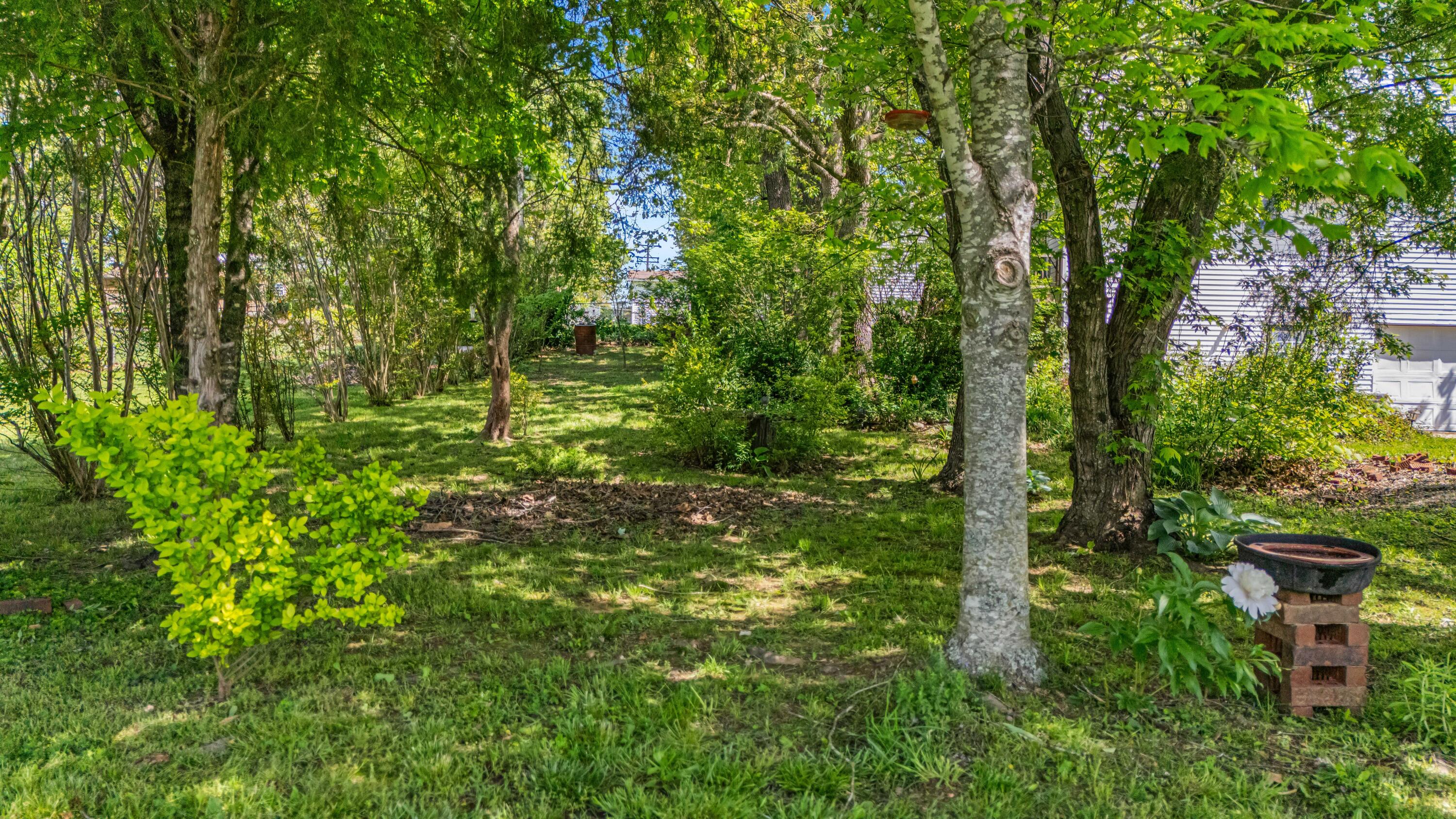 2505 Courtney Place Property Photo 38