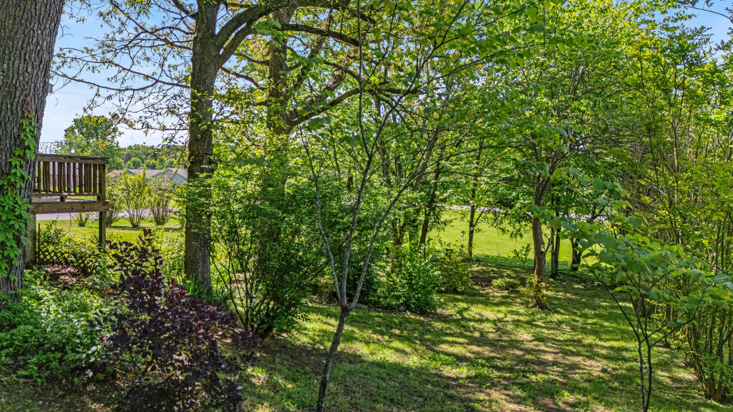 2505 Courtney Place Property Photo 40