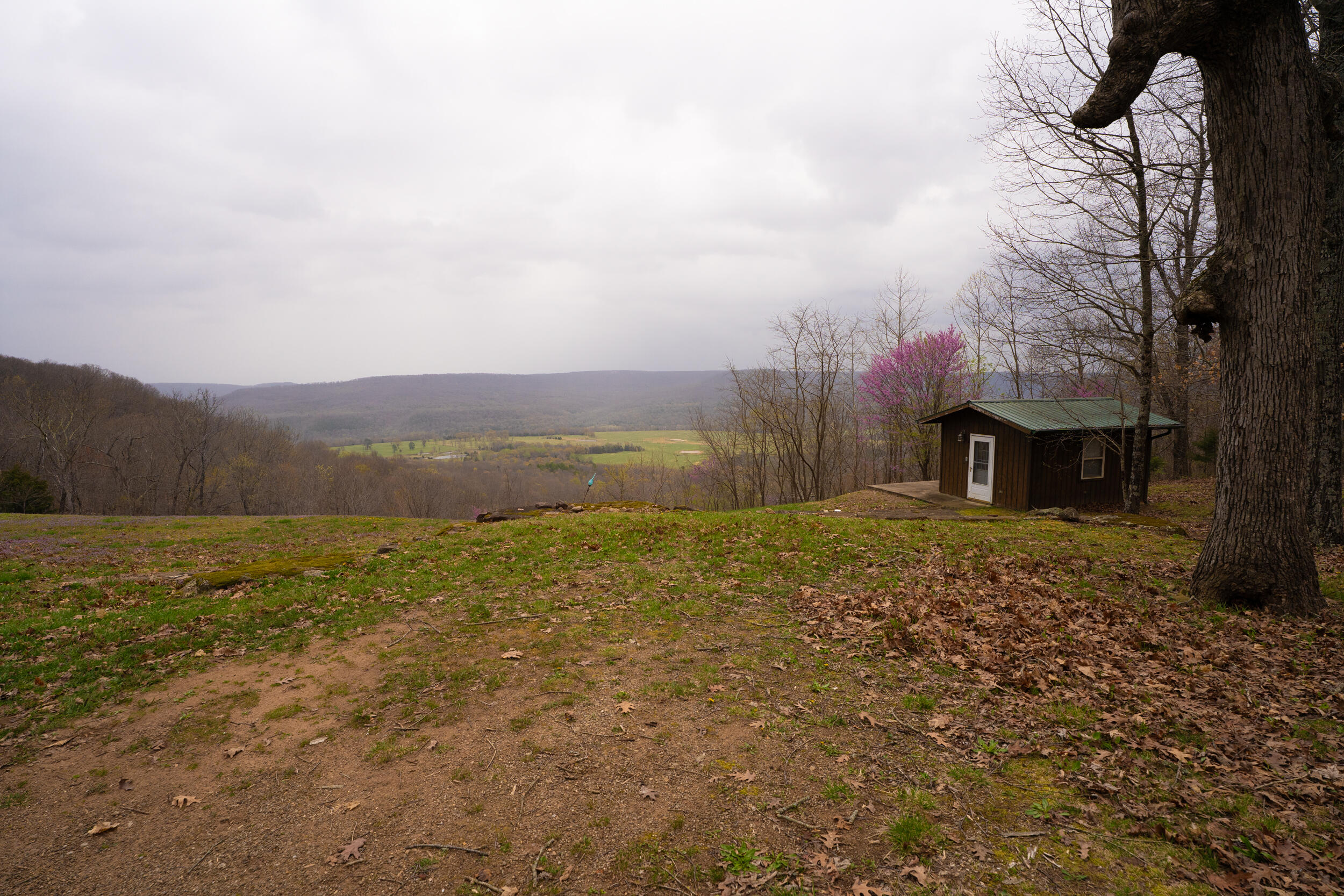 Green Forest Real Estate Listings Main Image