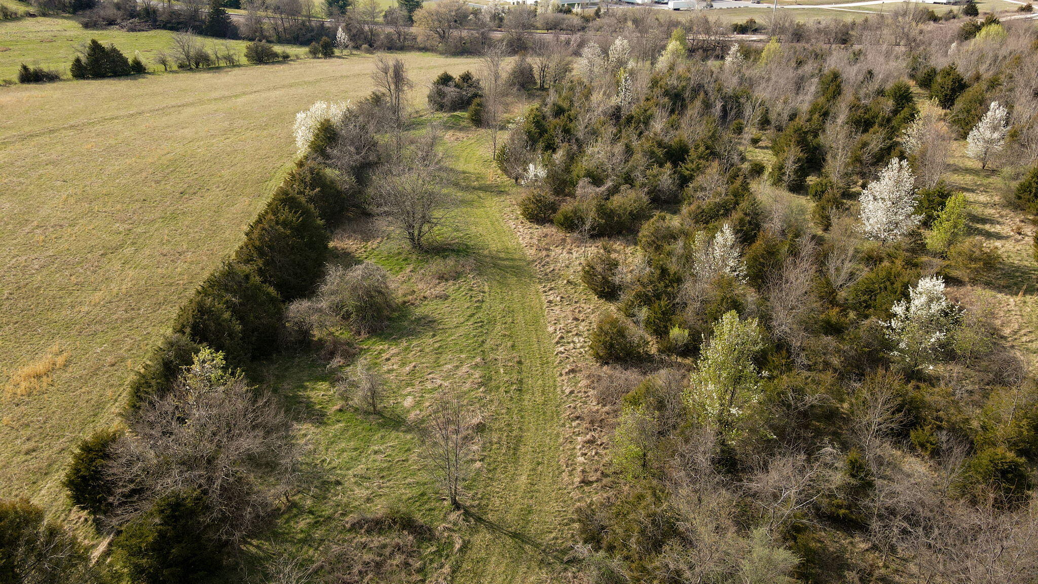 2260 North Boring Lane Property Photo 43