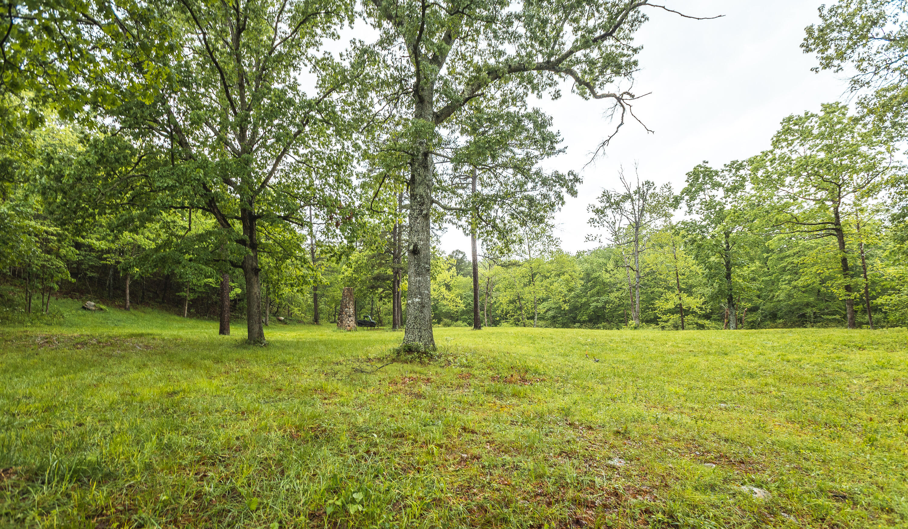19597 Green Drive Property Photo 38