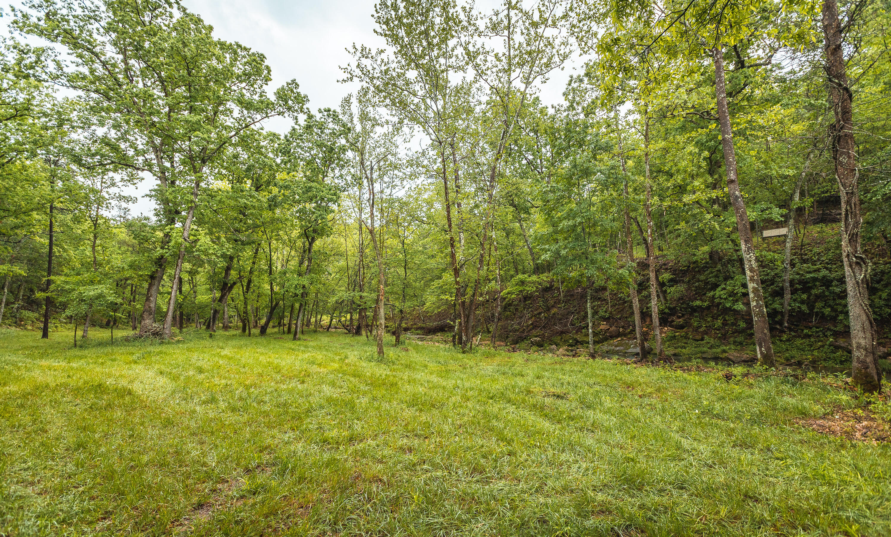 19597 Green Drive Property Photo 44