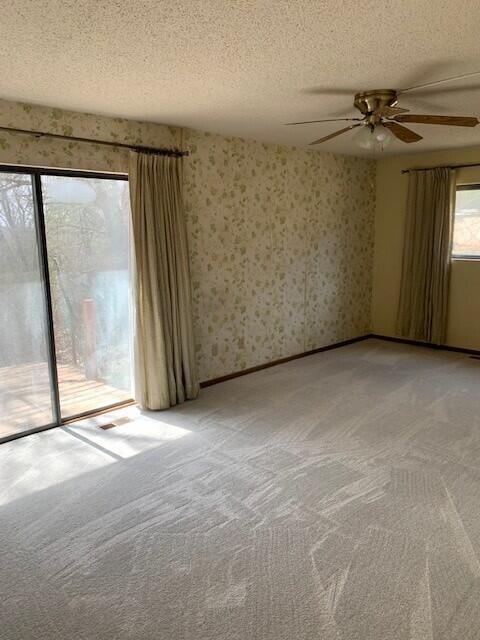 115 Shady Maple Road Property Photo 7