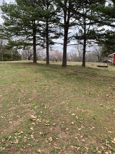 115 Shady Maple Road Property Photo 28